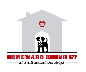 Homeward-Bound-web-300×252